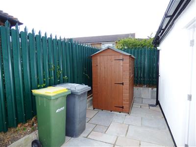 Picture 21